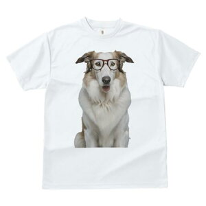 {[_[R[ TVc  j[NfUCfB[X t@  t vg lJWA 킢 lԗp Mtg I ҏ΍ Kl {[_[R[