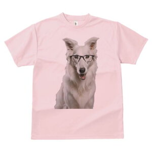 zCgXCXVFp[hhbO TVc  j[NfUCY LbY t@  t vg lJWA 킢 lԗp Mtg I ҏ΍ Kl zCgXC