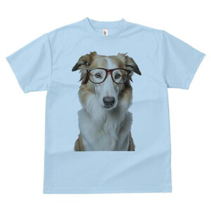 {[_[R[ TVc  j[NfUCY LbY t@  t vg lJWA 킢 lԗp Mtg I ҏ΍ Kl {[_[R[