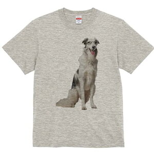 {[_[R[ TVc  j[NfUCY LbY t@  t vg lJWA 킢 lԗp Mtg I ҏ΍ Kl {[_[R[