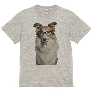 R[ TVc  j[NfUCY LbY t@  t vg lJWA 킢 lԗp Mtg I ҏ΍ Kl R[