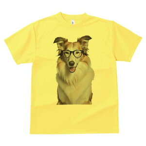 R[ TVc  j[NfUCY LbY t@  t vg lJWA 킢 lԗp Mtg I ҏ΍ Kl R[