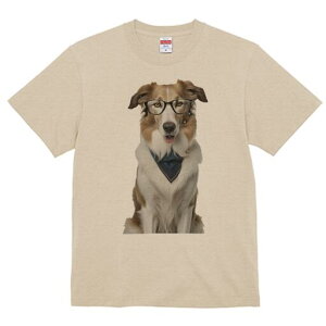 {[_[R[ TVc  j[NfUCfB[X t@  t vg lJWA 킢 lԗp Mtg I ҏ΍ Kl {[_[R[ o_i