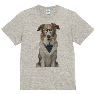 {[_[R[ TVc  j[NfUCY LbY t@  t vg lJWA 킢 lԗp Mtg I ҏ΍ Kl {[_[R[ o_i