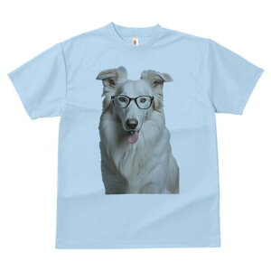 {[_[R[ TVc  j[NfUCfB[X t@  t vg lJWA 킢 lԗp Mtg I ҏ΍ Kl {[_[R[