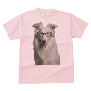 {[_[R[ TVc  j[NfUCfB[X t@  t vg lJWA 킢 lԗp Mtg I ҏ΍ Kl {[_[R[