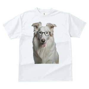 {[_[R[ TVc  j[NfUCfB[X t@  t vg lJWA 킢 lԗp Mtg I ҏ΍ Kl {[_[R[