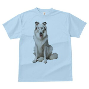 R[ TVc  j[NfUCY LbY t@  t vg lJWA 킢 lԗp Mtg I ҏ΍ Kl R[