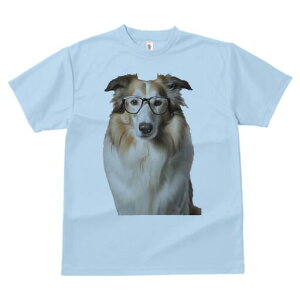 R[ TVc  j[NfUCfB[X t@  t vg lJWA 킢 lԗp Mtg I ҏ΍ Kl R[