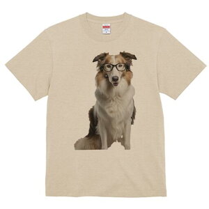 ボーダーコリー Tシャツ 犬愛 ユニークデザインレディース 犬ファン 半袖 春夏 プリント 大人カジュアル かわいい 人間用 ギフト 個性的 猛暑対策 メガネ ボーダーコリー