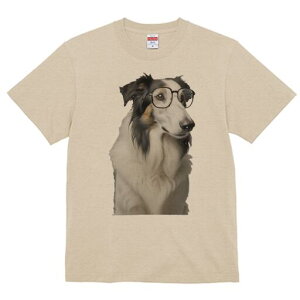 {[_[R[ TVc  j[NfUCfB[X t@  t vg lJWA 킢 lԗp Mtg I ҏ΍ Kl {[_[R[