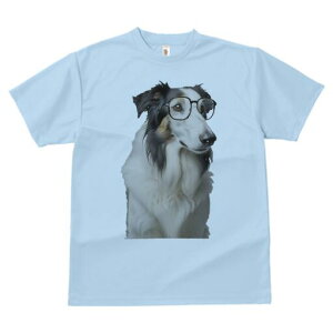 {[_[R[ TVc  j[NfUCfB[X t@  t vg lJWA 킢 lԗp Mtg I ҏ΍ Kl {[_[R[