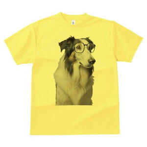 {[_[R[ TVc  j[NfUCY LbY t@  t vg lJWA 킢 lԗp Mtg I ҏ΍ Kl {[_[R[