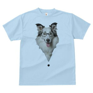 {[_[R[ TVc  j[NfUCfB[X t@  t vg lJWA 킢 lԗp Mtg I ҏ΍ Kl {[_[R[