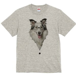 {[_[R[ TVc  j[NfUCfB[X t@  t vg lJWA 킢 lԗp Mtg I ҏ΍ Kl {[_[R[