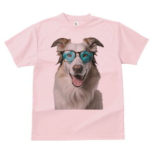 {[_[R[ TVc  j[NfUCfB[X t@  t vg lJWA 킢 lԗp Mtg I ҏ΍ Kl {[_[R[