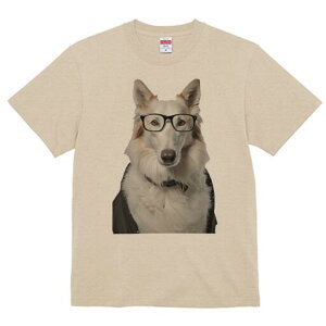 {[_[R[ TVc  j[NfUCfB[X t@  t vg lJWA 킢 lԗp Mtg I ҏ΍ Kl {[_[R[ 