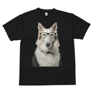 {[_[R[ TVc  j[NfUCfB[X t@  t vg lJWA 킢 lԗp Mtg I ҏ΍ Kl {[_[R[ 