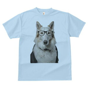 {[_[R[ TVc  j[NfUCfB[X t@  t vg lJWA 킢 lԗp Mtg I ҏ΍ Kl {[_[R[ 