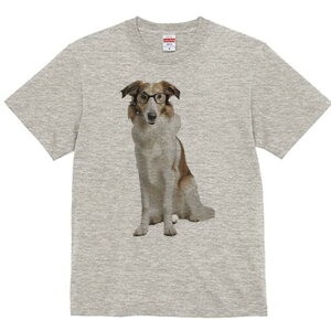 R[ TVc  j[NfUCfB[X t@  t vg lJWA 킢 lԗp Mtg I ҏ΍ Kl R[