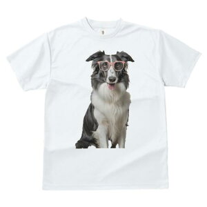 {[_[R[ TVc  j[NfUCfB[X t@  t vg lJWA 킢 lԗp Mtg I ҏ΍ Kl {[_[R[