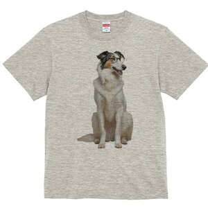 {[_[R[ TVc  j[NfUCfB[X t@  t vg lJWA 킢 lԗp Mtg I ҏ΍ Kl {[_[R[