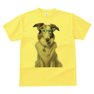 {]C TVc  j[NfUCfB[X t@  t vg lJWA 킢 lԗp Mtg I ҏ΍ Kl {]C  y_g