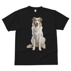 R[ TVc  j[NfUCfB[X t@  t vg lJWA 킢 lԗp Mtg I ҏ΍ Kl R[