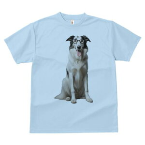 {[_[R[ TVc  j[NfUCfB[X t@  t vg lJWA 킢 lԗp Mtg I ҏ΍ Kl {[_[R[