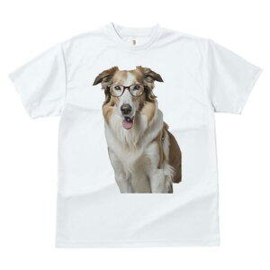 {[_[R[ TVc  j[NfUCfB[X t@  t vg lJWA 킢 lԗp Mtg I ҏ΍ Kl {[_[R[