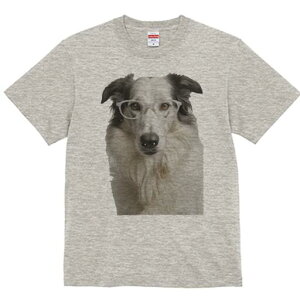 {[_[R[ TVc  j[NfUCfB[X t@  t vg lJWA 킢 lԗp Mtg I ҏ΍ Kl {[_[R[