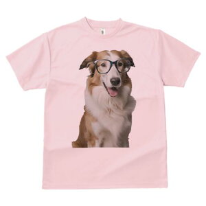 {[_[R[ TVc  j[NfUCfB[X t@  t vg lJWA 킢 lԗp Mtg I ҏ΍ Kl {[_[R[