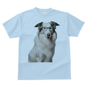 {[_[R[ TVc  j[NfUCfB[X t@  t vg lJWA 킢 lԗp Mtg I ҏ΍ Kl {[_[R[