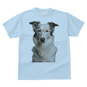 {[_[R[ TVc  j[NfUCfB[X t@  t vg lJWA 킢 lԗp Mtg I ҏ΍ Kl {[_[R[