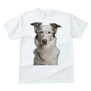 {[_[R[ TVc  j[NfUCfB[X t@  t vg lJWA 킢 lԗp Mtg I ҏ΍ Kl {[_[R[