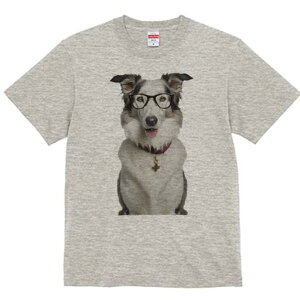 {[_[R[ TVc  j[NfUCfB[X t@  t vg lJWA 킢 lԗp Mtg I ҏ΍ Kl {[_[R[  y_g