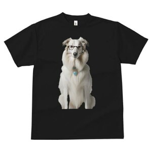 R[ TVc  j[NfUCfB[X t@  t vg lJWA 킢 lԗp Mtg I ҏ΍ Kl R[ lbNX