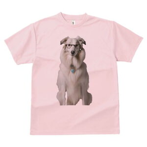 R[ TVc  j[NfUCfB[X t@  t vg lJWA 킢 lԗp Mtg I ҏ΍ Kl R[ lbNX