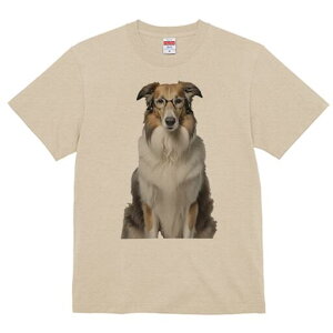 R[ TVc  j[NfUCfB[X t@  t vg lJWA 킢 lԗp Mtg I ҏ΍ Kl R[