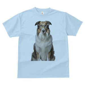 R[ TVc  j[NfUCfB[X t@  t vg lJWA 킢 lԗp Mtg I ҏ΍ Kl R[