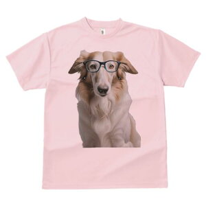 {]C TVc  j[NfUCfB[X t@  t vg lJWA 킢 lԗp Mtg I ҏ΍ Kl {]C