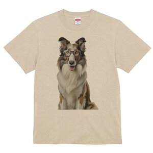 R[ TVc  j[NfUCfB[X t@  t vg lJWA 킢 lԗp Mtg I ҏ΍ Kl R[