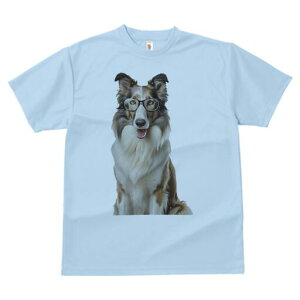 R[ TVc  j[NfUCfB[X t@  t vg lJWA 킢 lԗp Mtg I ҏ΍ Kl R[