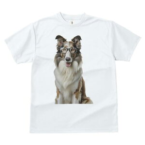 R[ TVc  j[NfUCfB[X t@  t vg lJWA 킢 lԗp Mtg I ҏ΍ Kl R[