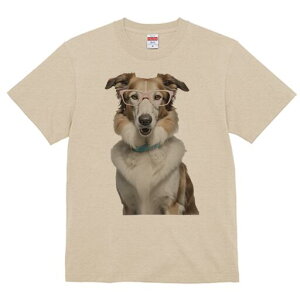 R[ TVc  j[NfUCY LbY t@  t vg lJWA 킢 lԗp Mtg I ҏ΍ Kl R[