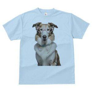 R[ TVc  j[NfUCY LbY t@  t vg lJWA 킢 lԗp Mtg I ҏ΍ Kl R[