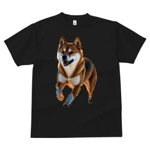 Č TVc  j[NfUCfB[X t@  t vg lJWA 킢 lԗp Mtg I ҏ΍ Č