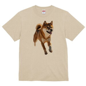 Č TVc  j[NfUCfB[X t@  t vg lJWA 킢 lԗp Mtg I ҏ΍ Č