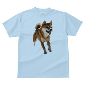 Č TVc  j[NfUCfB[X t@  t vg lJWA 킢 lԗp Mtg I ҏ΍ Č