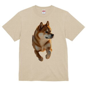 Č TVc  j[NfUCfB[X t@  t vg lJWA 킢 lԗp Mtg I ҏ΍ Č